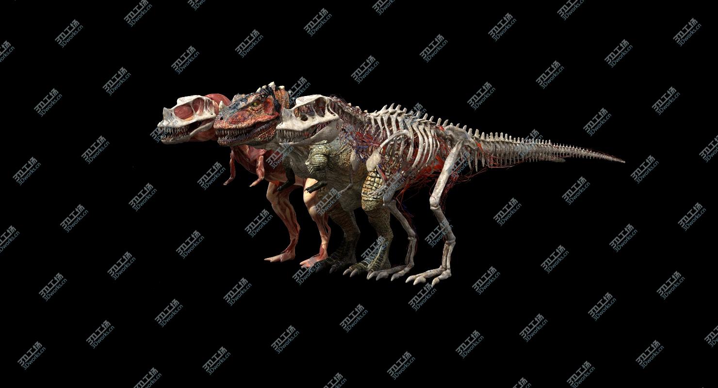 images/goods_img/202104093/Ceratosaurus Anatomy 3D model/3.jpg